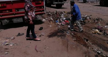 حى ثان المحلة يقود حملة نظافة مكبرة لرفع القمامة بمنطقة المنشية الجديدة