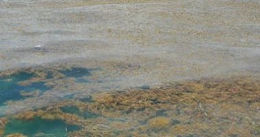 دراسة: انخفاض الكالسيوم فى بحيرات المياه العذبة فى أوروبا وأمريكا الشمالية