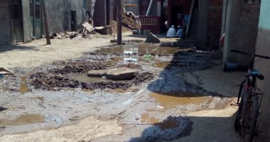 غرق شوارع قرية غزالة فى الدقهلية بمياه الصرف والأهالى يستغيثون 