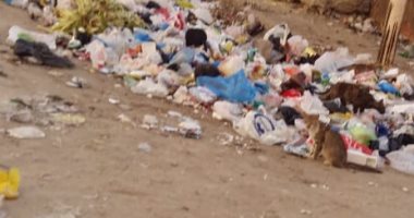 شكوى من انتشار القمامة شارع المستشارين بمنطقة طوسون بالإسكندرية