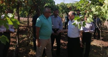 صور.. محافظ الوادى الجديد يتفقد مشروع "آفاق" الزراعى لإنتاج الفاكهة بمركز بلاط