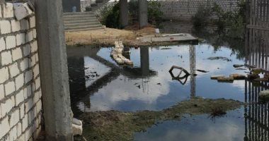 شكوى من إغراق مياه الصرف الصحى للمنازل بقرية شمامة فى محافظة مطروح
