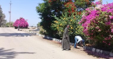 صور.. حملة تهذيب أشجار وتجميل مسار طريق القاهرة أسوان الزراعى بالأقصر