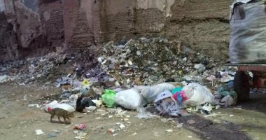 حملة مكبرة لرفع تراكمات القمامة من منطقة صندفا بالمحلة الكبرى