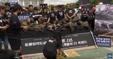 شاهد مظاهرات بكوريا الجنوبية تناهض أكل لحوم الكلاب وتطالب بحمايتها