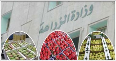 "الزراعة" توافق على تصدير 414 ألف شتلة من 5 أصناف فاكهة خلال أسبوع