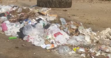 شكوى من انتشار القمامة شارع الجزائر أمام نادى المعادى الجديدة