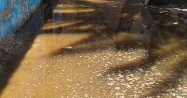مياه مجهولة تغمر شوارع قرية بهبيت بالجيزة