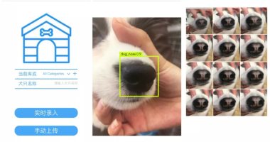 شركة صينية ناشئة تطور تقنية لتتبع الكلاب الضائعة عبر "بصمة الأنف"