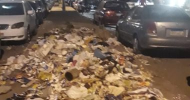 قارئ يشكو من انتشار القمامة بشارع أنور المفتى مدينة نصر