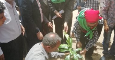 محافظ أسيوط: حملة تشجير ونظافة بقرية شقلقيل بأبنوب وزراعة 100 شجرة مثمرة