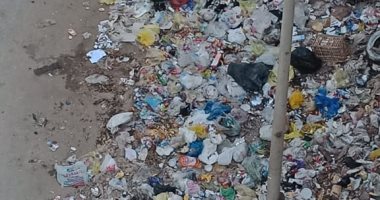 صور.. القمامة تحاصر الحى السويسرى بمدينة نصر