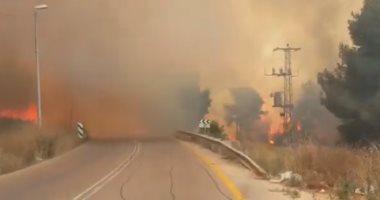 فيديو وصور.. نشوب حرائق فى أنحاء مختلفة من إسرائيل بسبب ارتفاع درجات الحرارة