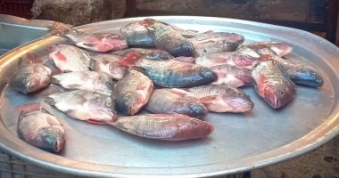 صور.. تعرف على أسعار الأسماك فى أسواق الإسكندرية