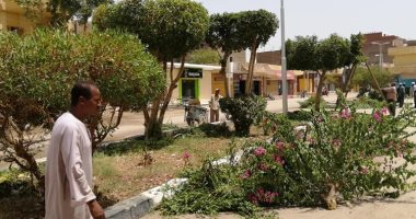 صور .. حملة نظافة وتهذيب للأشجار بطريق القاهرة أسوان الزراعى وشوارع الأقصر
