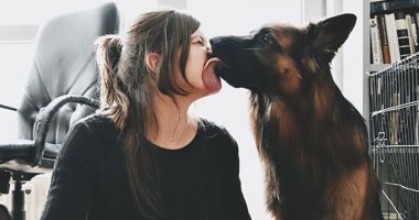 دراسة: أصحاب الكلاب يقبلونها أكثر من أصدقائهم.. اعرف السبب