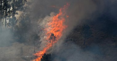 إجلاء مئات السكان إثر اندلاع حريق فى بلدة ساحلية قريبة من أثينا