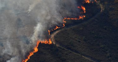 أكثر من 900 رجل إطفاء يكافحون الحرائق وسط البرتغال