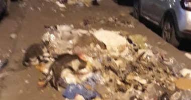 قارئ يشكو انشار القمامة بشارع أنور المفتى بمدينة نصر