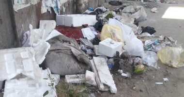 قارئ يشكو من انتشار القمامة بشارع ابن الحكم بالزيتون