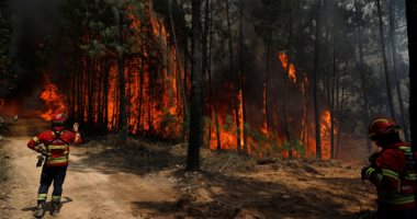 الرياح الشديدة تعيد إشعال حرائق الغابات وسط البرتغال وإخلاء عدة قرى