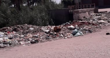 قارئ يشكو من انتشار القمامة والأوبئة بمدخل قرية سكره بأسيوط
