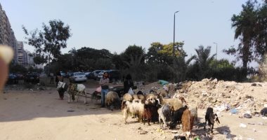 قارئ يشكو انتشار القمامة بكورنيش النيل فى حلوان.. ومطالب بإزالتها