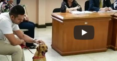 صدق أو لا تصدق.. كلب "يقاضى" صاحبه بسبب التعذيب فى أمريكا اللاتينية