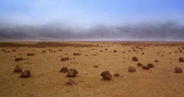 هل يمكن لأشكال الحياة على الأرض البقاء فى بيئة المريخ؟
