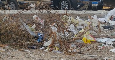 قارئ يشكو من انتشار القمامة بشارع أبو بكر الصديق مدينة نصر