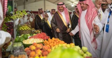 صور.. انطلاق مهرجان الفاكهة بـ"طبرجل" السعودية بمشاركة 30 عارضا 