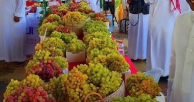 الأسواق الجديدة تنعش صادرات العنب وترفعها لـ100 ألف طن