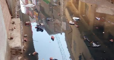 مياه الصرف الصحى تغرق منطقة أولاد بانا بمركز المنزلة محافظة الدقهلية