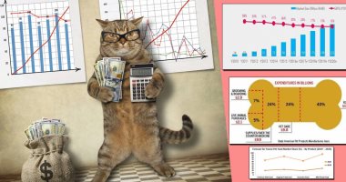 بزنس الحيوانات الأليفة.. باحثة كويتية: عالم القطط الاقتصادى يجلب الملايين