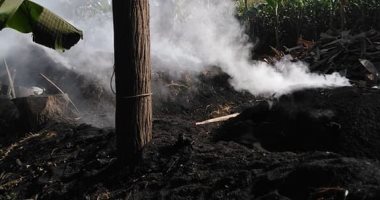 الدخان القاتل.. شكوى من مكامير الفحم فى قرية كفر الدوار بالمنوفية