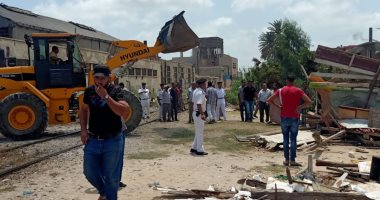 تنفيذ 13 قرار إزالة تعديات على أراضى تابعة لوزارة الرى شرق الإسكندرية