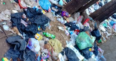 شكوى من انتشار القمامة فى شارع أبوخليل بقرية أبو كبير بالشرقية