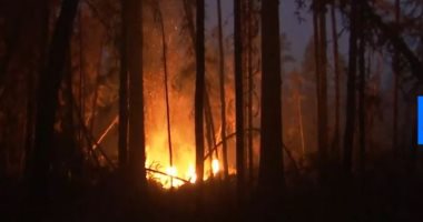حرائق ضخمة فى غابات سيبيريا.. وبوتين يطلب من الجيش مساعدة رجال الأطفاء