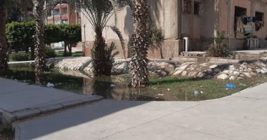 قارئ يشكو من انتشار مياه الصرف الصحى بمدينة 15 مايو مجاورة 12 عمارة 7