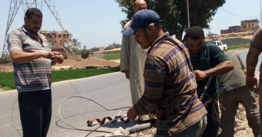صور.. انقطاع الكهرباء عن قرى بالقنايات.. و"كهرباء الشرقية": جار إصلاح العطل