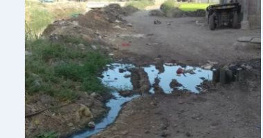 شكوى من غرق شوارع قرية دخميس بالمحلة الكبرى بمياه الصرف الصحى
