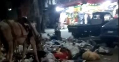 قارئ يشكو من انتشار القمامة بشارع عبد المنعم رياض بالوراق