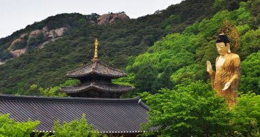 لتناقص أعداد معتنقى البوذية.. المعابد اليابانية تتحول لأماكن إقامة للسياح