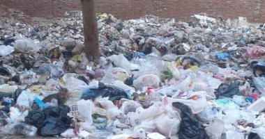 صور.. اضبط مخالفة.. تراكم القمامة خلف ديوان محافظة الغربية