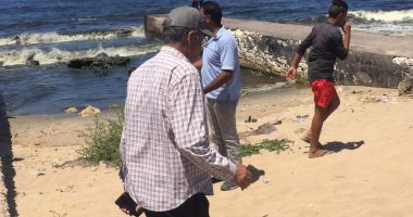 محافظة الإسكندرية: ديدان شاطئ الدخيلة نتيجة للحيوانات البحرية النافقة