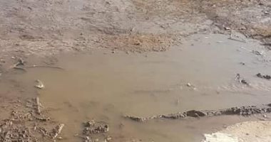 شكوى من انتشار مياه الصرف الصحى بقرية رأس الخليج بالدقهلية
