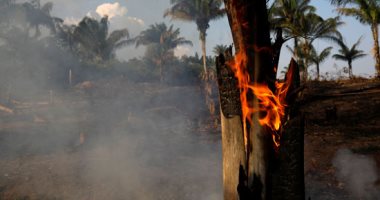 وزير الدفاع البرازيلى: بدء نشر 44 ألف جندى لإطفاء حرائق غابات الأمازون