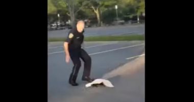 شاهد.. شرطى أمريكى ينقذ حيوانا علقت رأسه بعلبة وبعدها يفاجأ بهجوم الحيوان