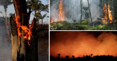 وزير الدفاع البرازيلى: أمريكا لا تقدم مساعدة ملموسة لمكافحة حرائق الأمازون