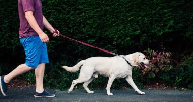 حيوانك الأليف يساهم في صحة قلبك:تربية الكلاب تمنحك القدرة علي ممارسة الرياضة 